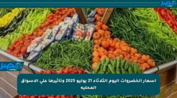 أسعار الخضروات اليوم الثلاثاء 21 يوليو 2025 وتأثيرها على الأسواق المحلية